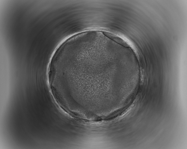 X0000095921102200801251025