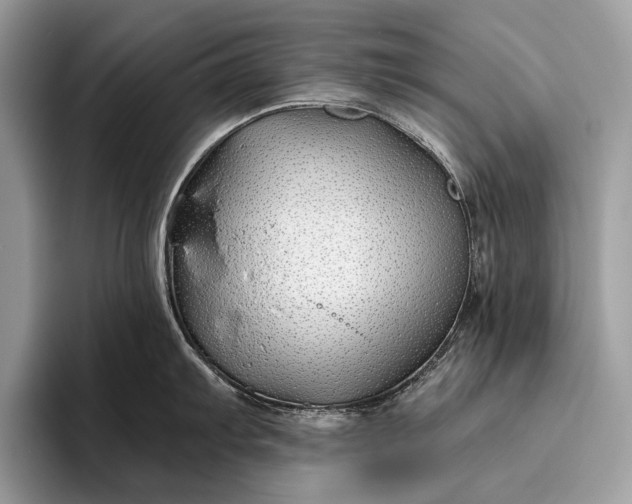 X0000095921103200801251025