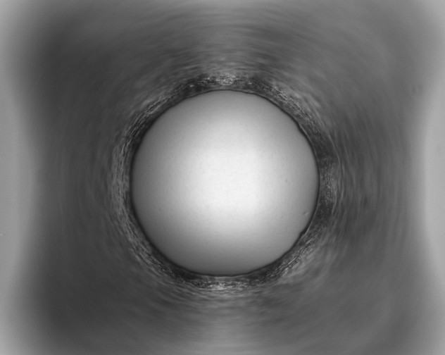 X0000095921105200801251024