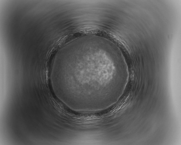 X0000095921108200801251024