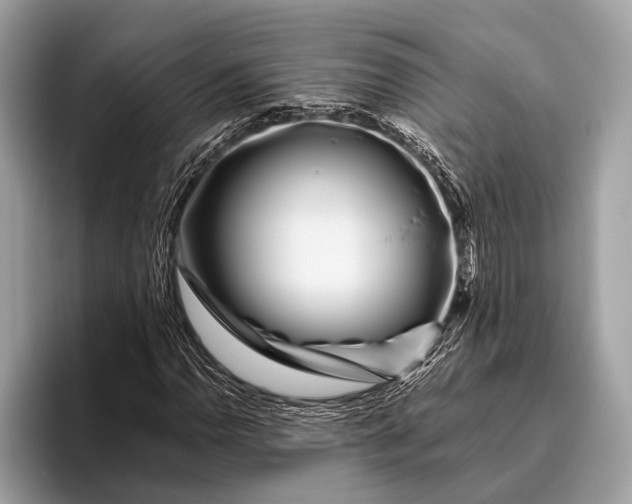 X0000095921110200801251024