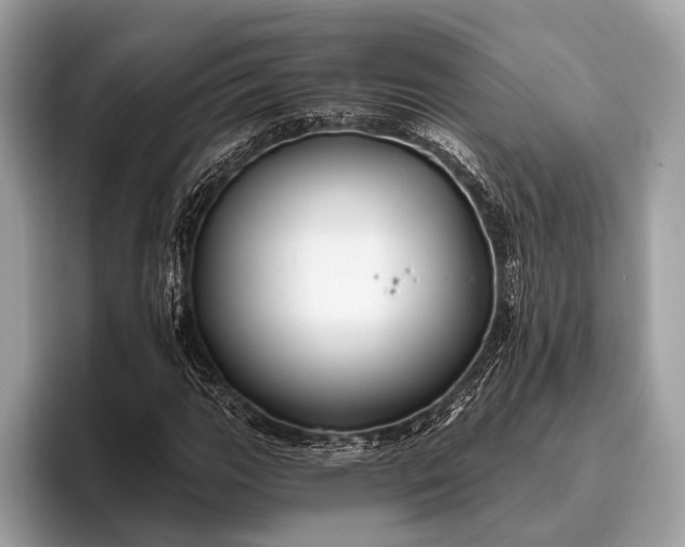 X0000095921111200801251024