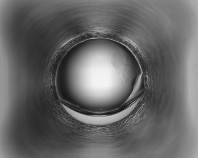 X0000095921112200801251024