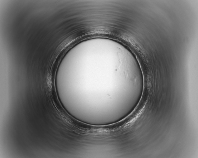 X0000095921113200801251024