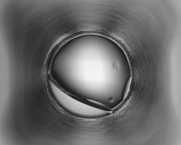 X0000095921114200801251024