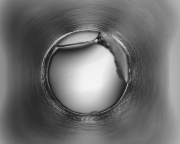 X0000095921116200801251024