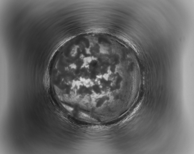 X0000095921117200801251024