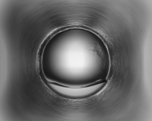 X0000095921118200801251024