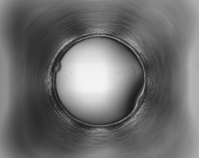 X0000095921119200801251024