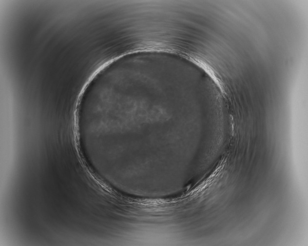 X0000095921120200801251024