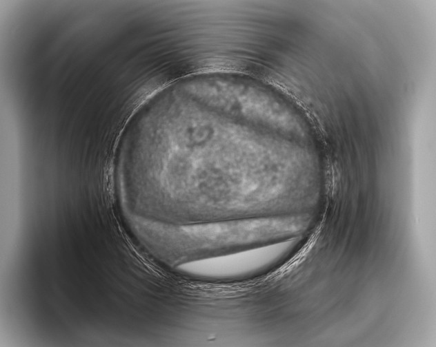 X0000095921121200801251024