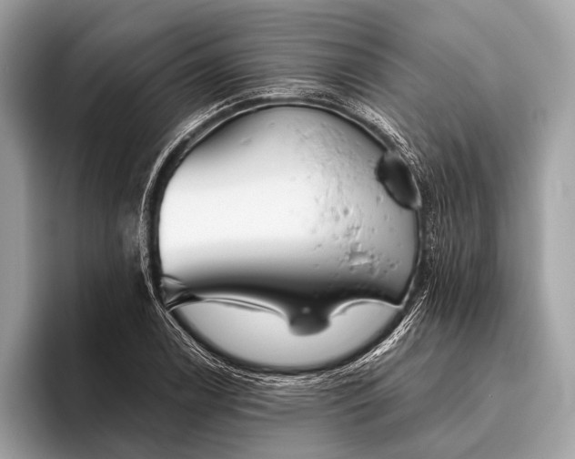 X0000095921122200801251024