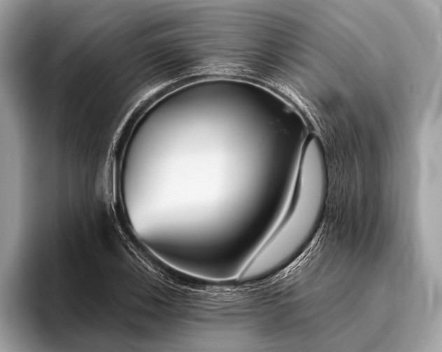 X0000095921123200801251024