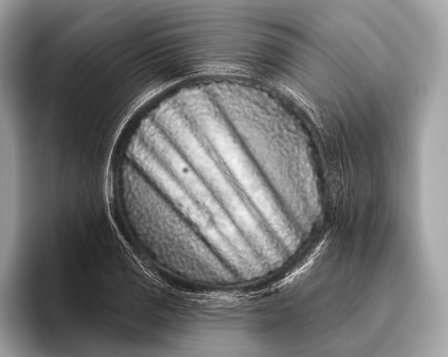 X0000095921125200801251024