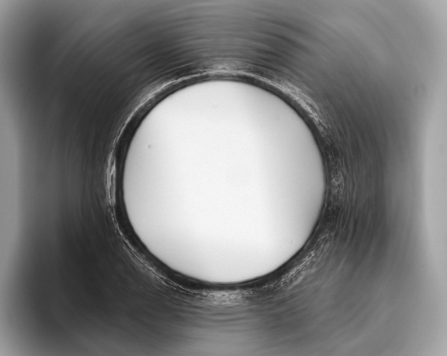 X0000095921126200801251024