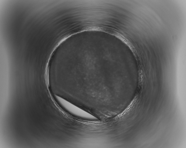 X0000095921127200801251024