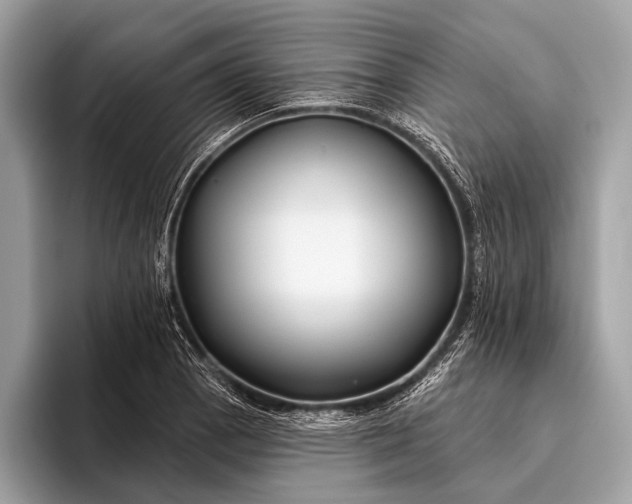 X0000095921129200801251024