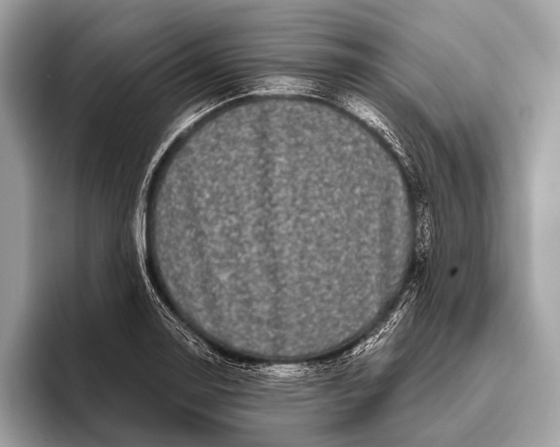 X0000095921130200801251024