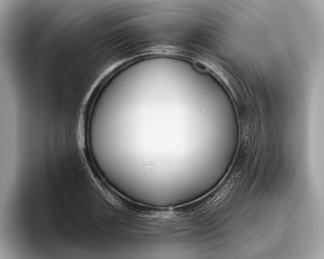 X0000095921131200801251024