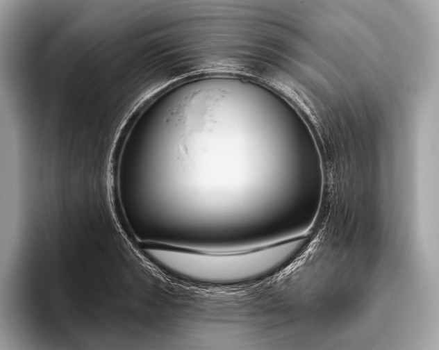 X0000095921133200801251024