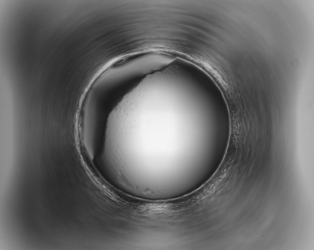 X0000095921134200801251024