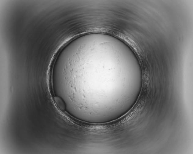 X0000095921135200801251024