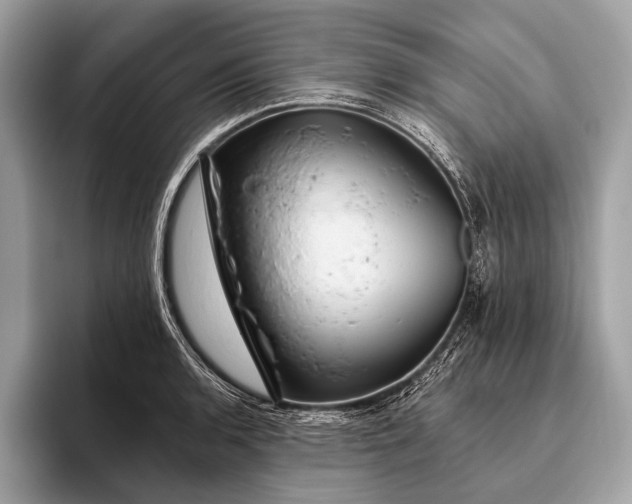 X0000095921136200801251024