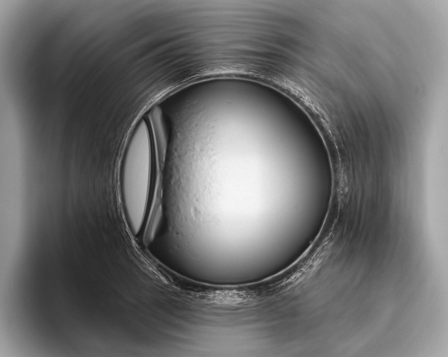 X0000095921137200801251024