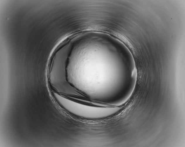 X0000095921138200801251024