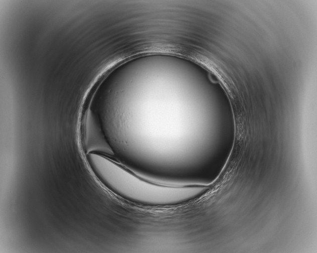 X0000095921139200801251024