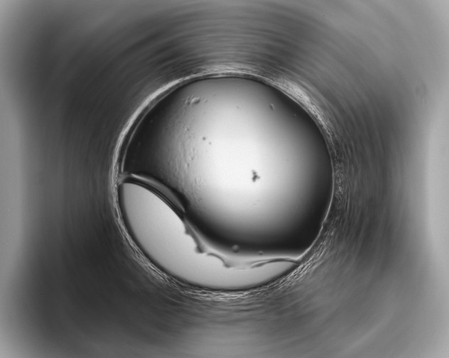 X0000095921140200801251024