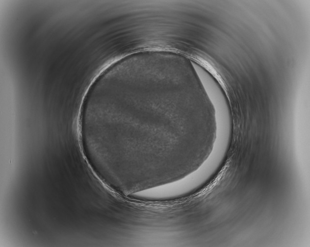 X0000095921141200801251025