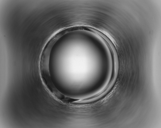 X0000095921142200801251025