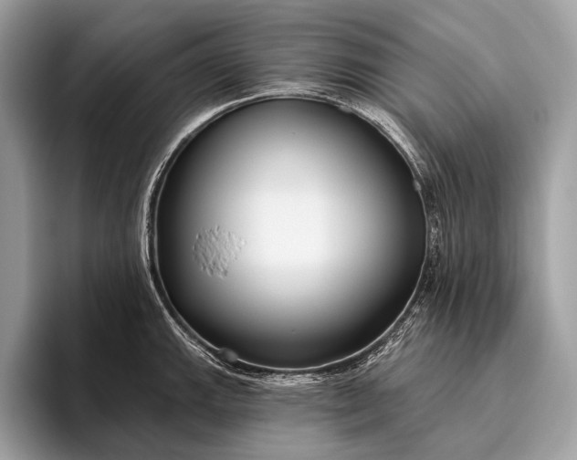 X0000095921143200801251025