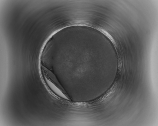 X0000095921144200801251025