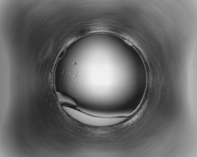 X0000095921145200801251025