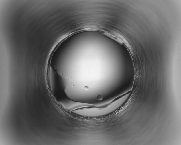 X0000095921146200801251025