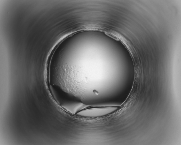 X0000095921147200801251025