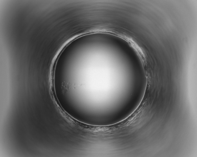 X0000095921148200801251025