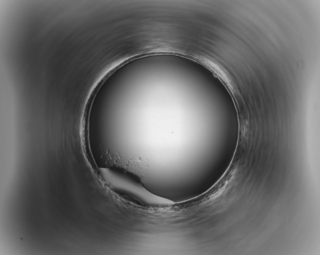 X0000095921149200801251025