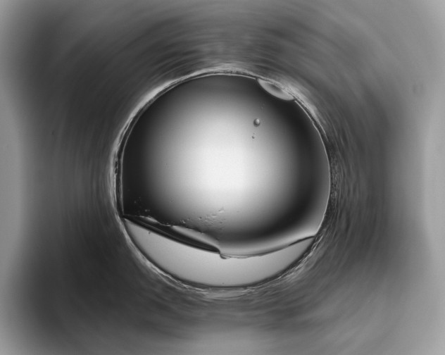 X0000095921151200801251025