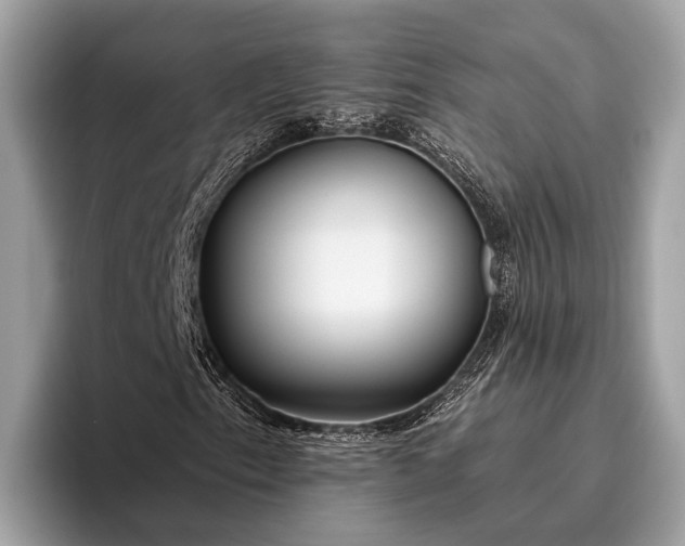 X0000095921153200801251024