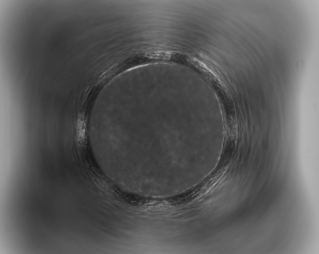 X0000095921154200801251024