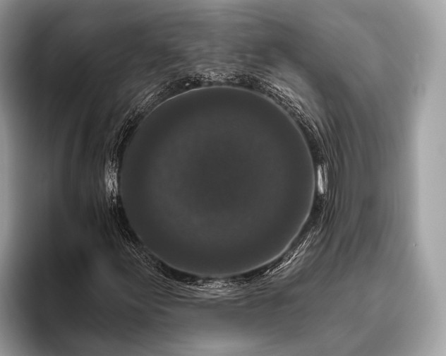 X0000095921155200801251024