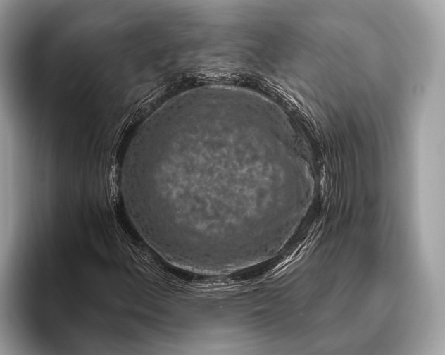 X0000095921156200801251024