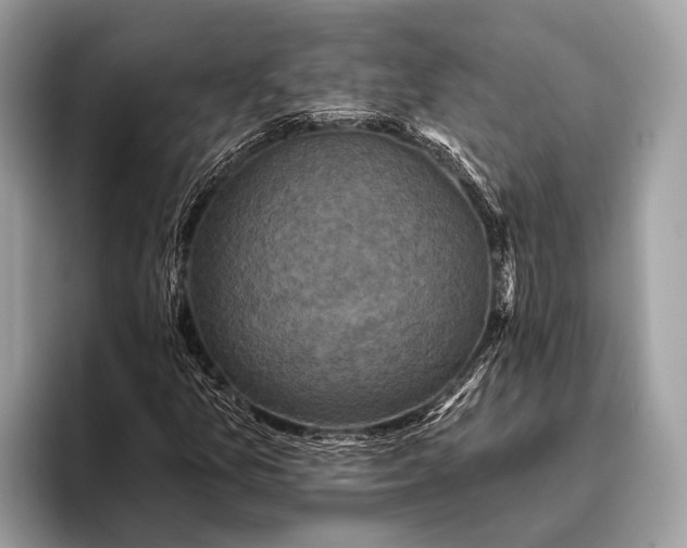 X0000095921157200801251024