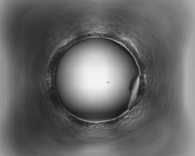 X0000095921159200801251024