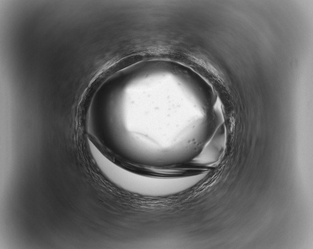 X0000095921160200801251024