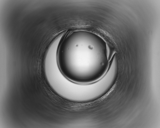 X0000095921161200801251024