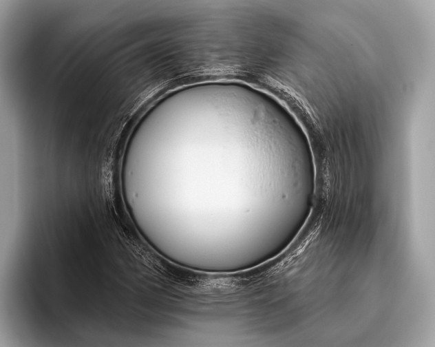 X0000095921162200801251024